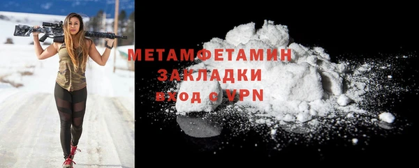 крисы Бородино