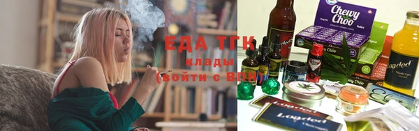 крисы Бородино