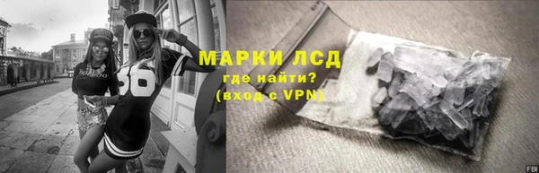 крисы Бородино