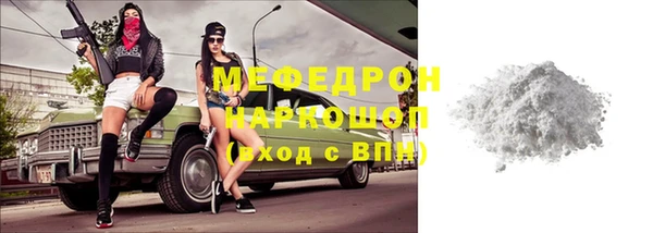 крисы Бородино