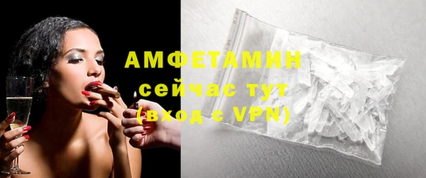 крисы Бородино