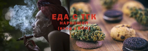 крисы Бородино