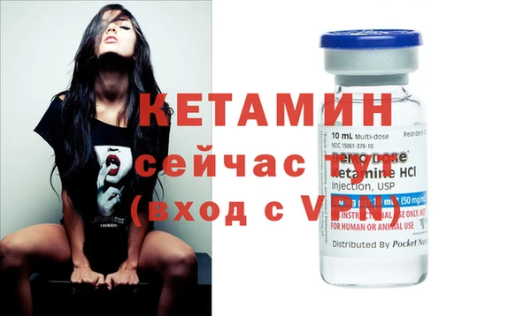 крисы Бородино