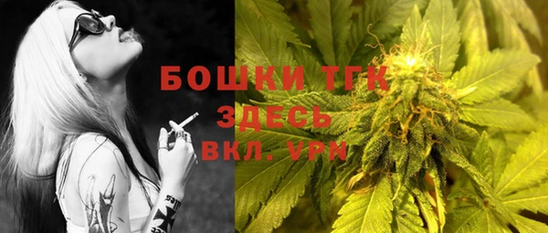 крисы Бородино
