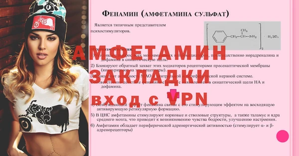 крисы Бородино