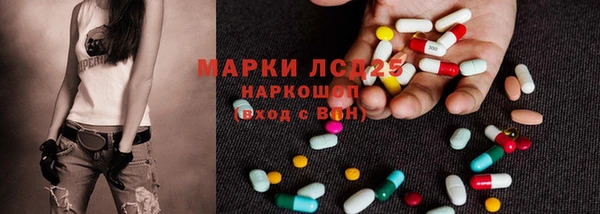 крисы Бородино