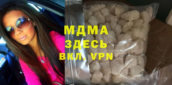 крисы Бородино